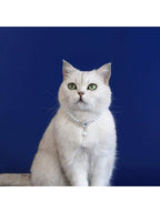 Elegant Light Luxury Small Cat Dog Double Pearl Pendant Necklace Maltese Yorkshire Poodle Noble Style Rhinestone Necklace Pet Wedding Party Collar Accessories Available In 3 Colors