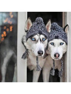 Winter Warm Dog Hats Windproof Knitting French Bulldog Hat For Dogs Chihuahua Hat Fluffy Ball Pet Hat Puppy Accessories