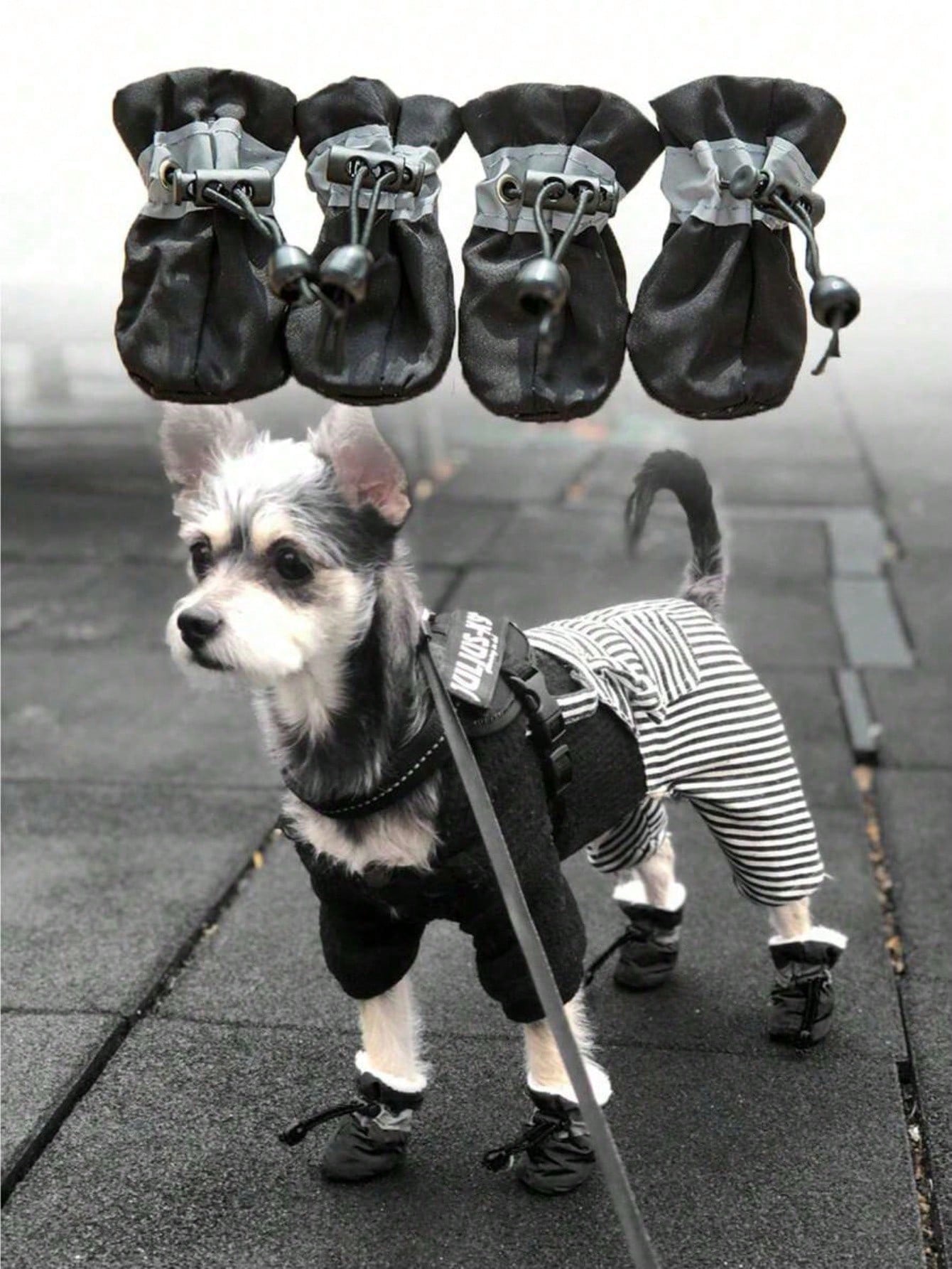 4pcs/Set Waterproof Pet Dog Shoes, Pet Anti-Slip Rain Boots Footwear For Small Cats Dogs Chihuahua Puppy Dog, Water-Resistant Dog Shoes
