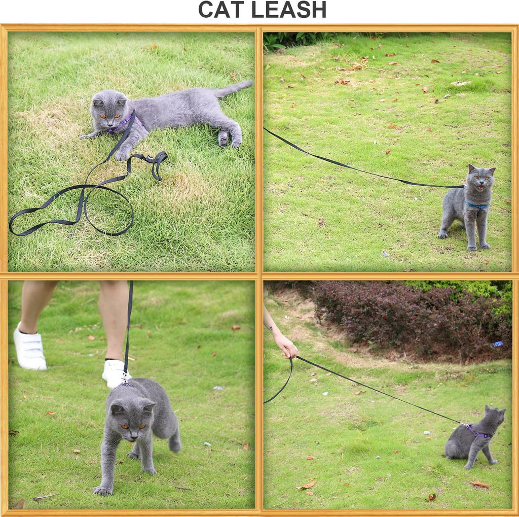 AMAGOOD 6 FT Cat Leash, Strong and Durable Traditional Style Leash with Easy to Use Collar Hook,Cat Lead Great for Cats (3/8 in x 6 ft,Black and Pruple(2-Pack))